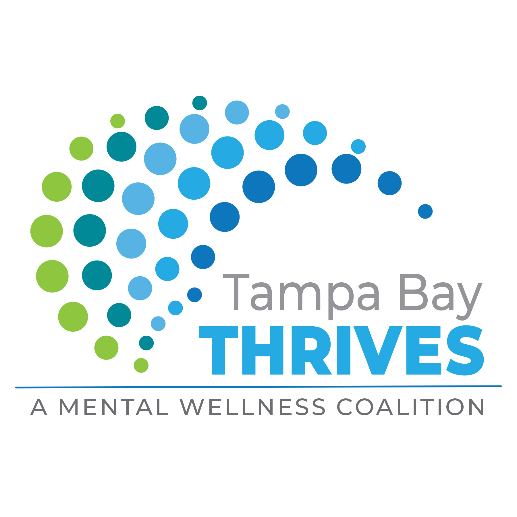FOX 13: Tampa Bay Thrives’ study on mental health