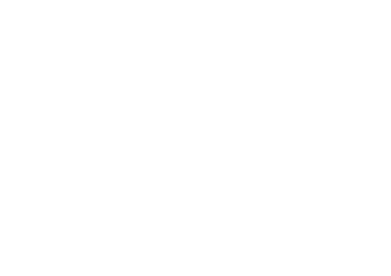 Partner logo for The Lightning Foundation